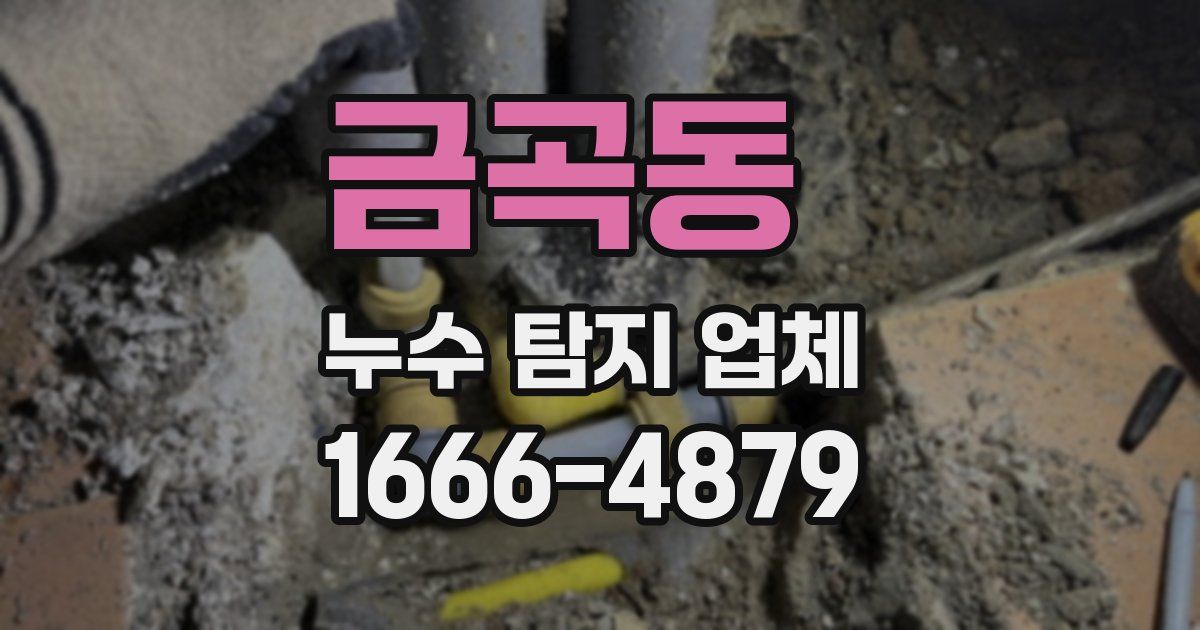 금곡동 누수 탐지 업체