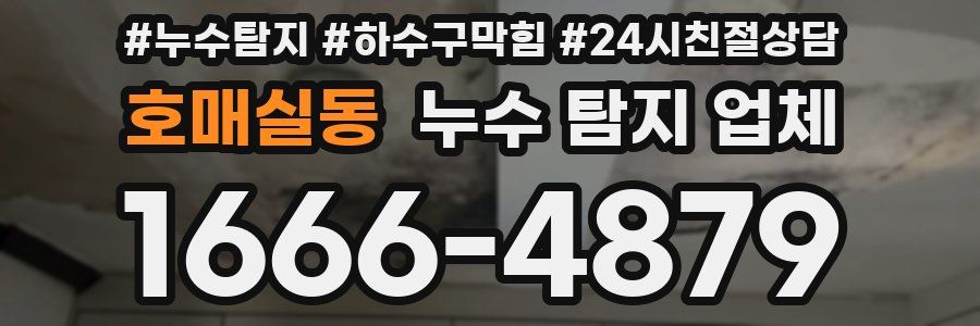 호매실동 누수 탐지 업체