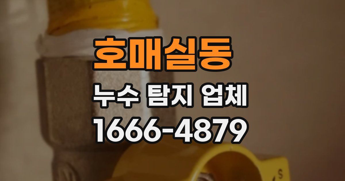 호매실동 누수 탐지 업체