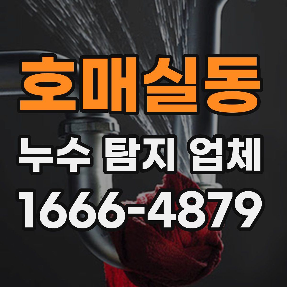 호매실동 누수 탐지 업체