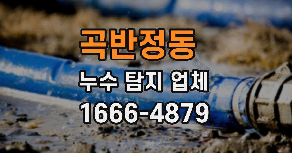 곡반정동 누수 탐지 업체