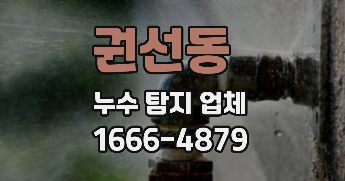 권선동 누수 탐지 업체