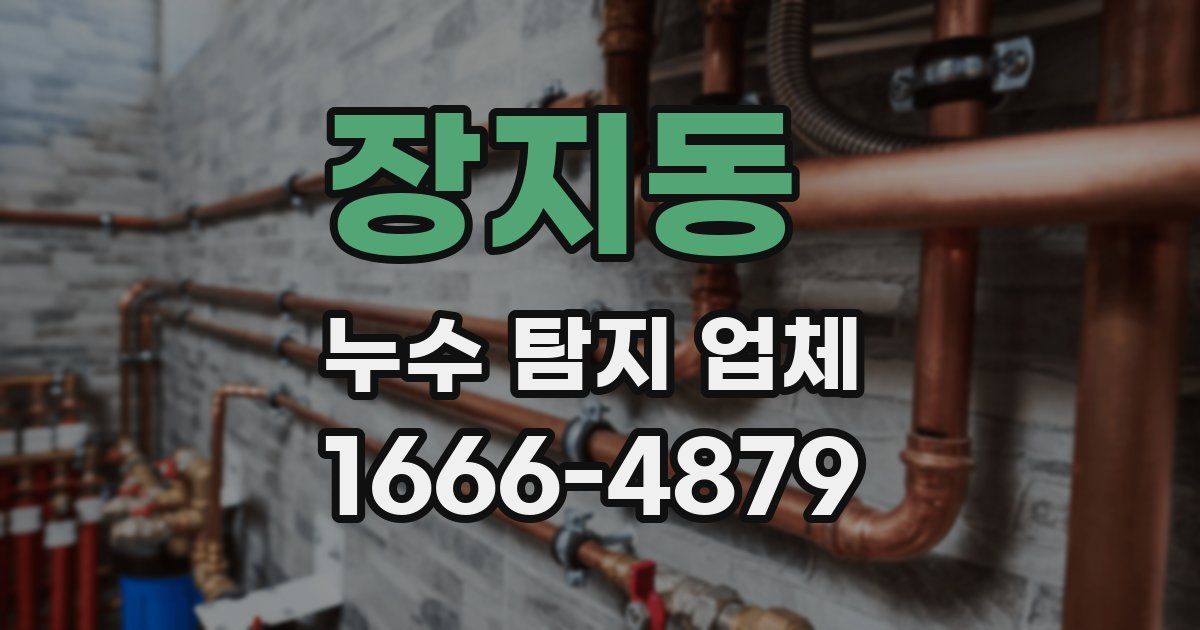 장지동 누수 탐지 업체