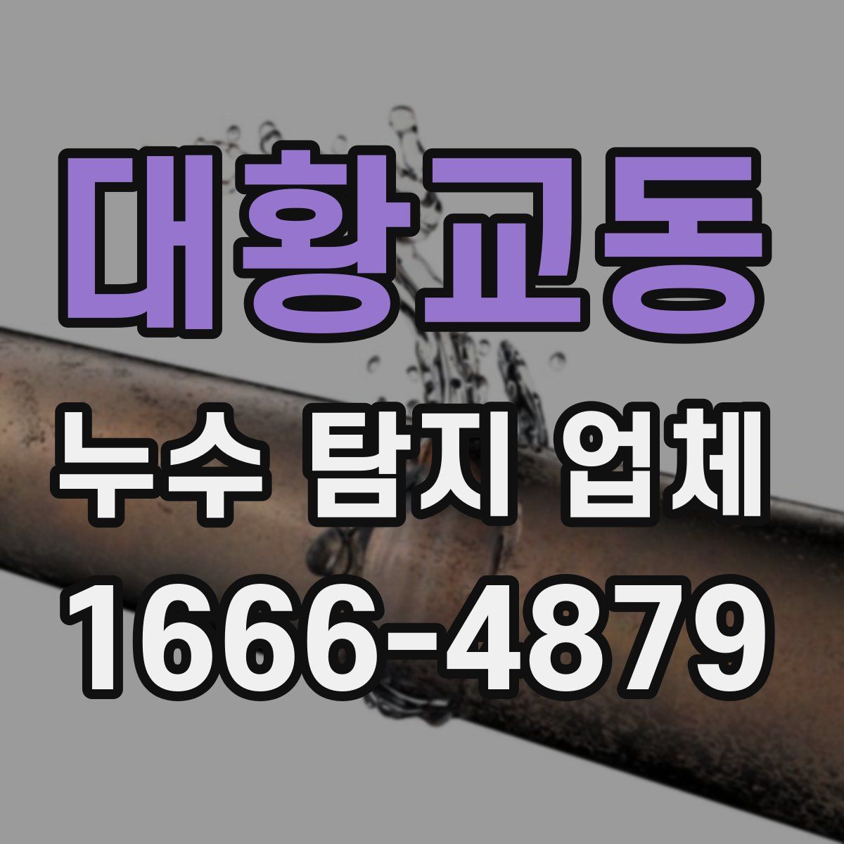 대황교동 누수 탐지 업체