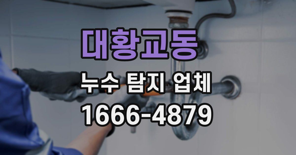 대황교동 누수 탐지 업체