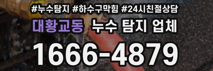대황교동 누수 탐지 업체