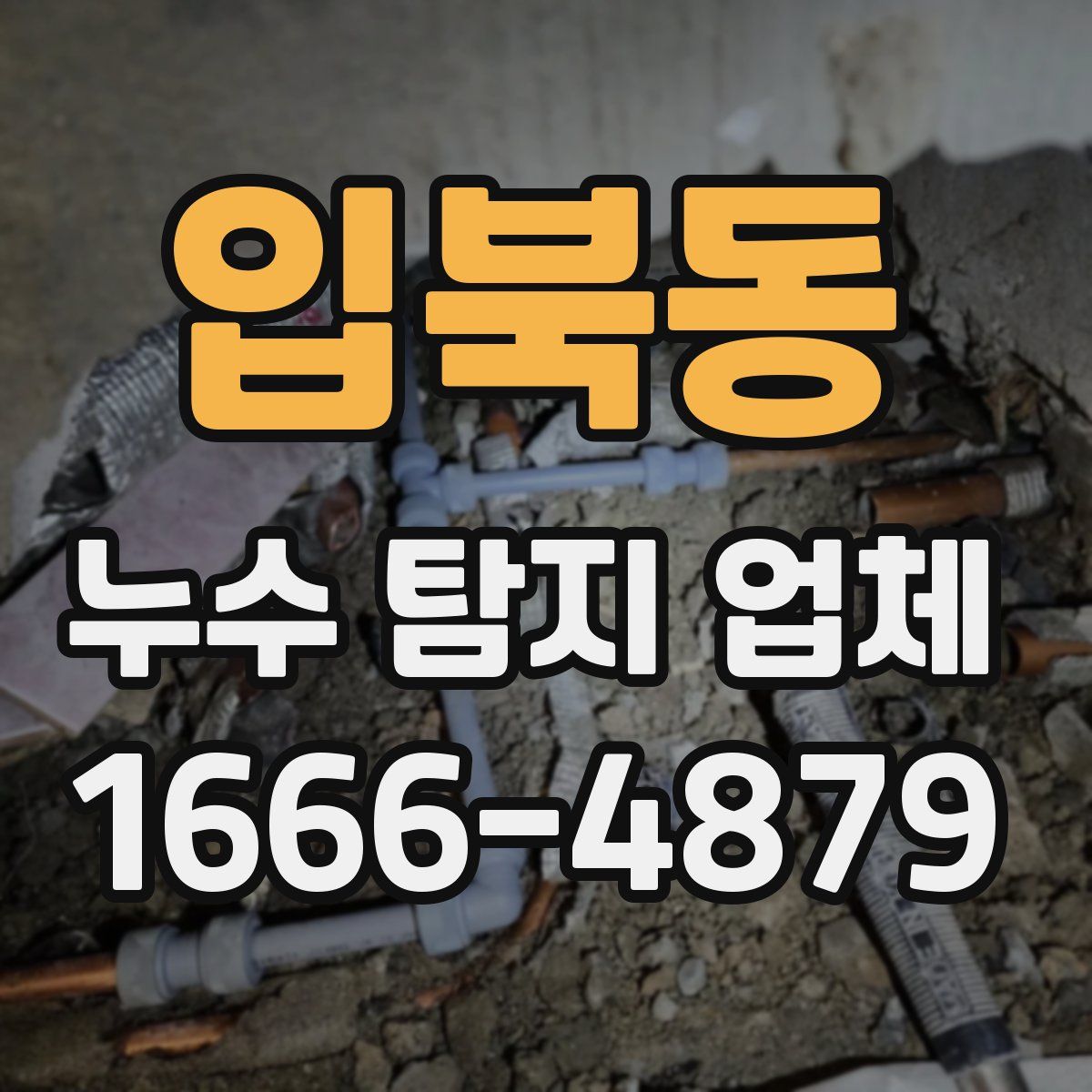 입북동 누수 탐지 업체