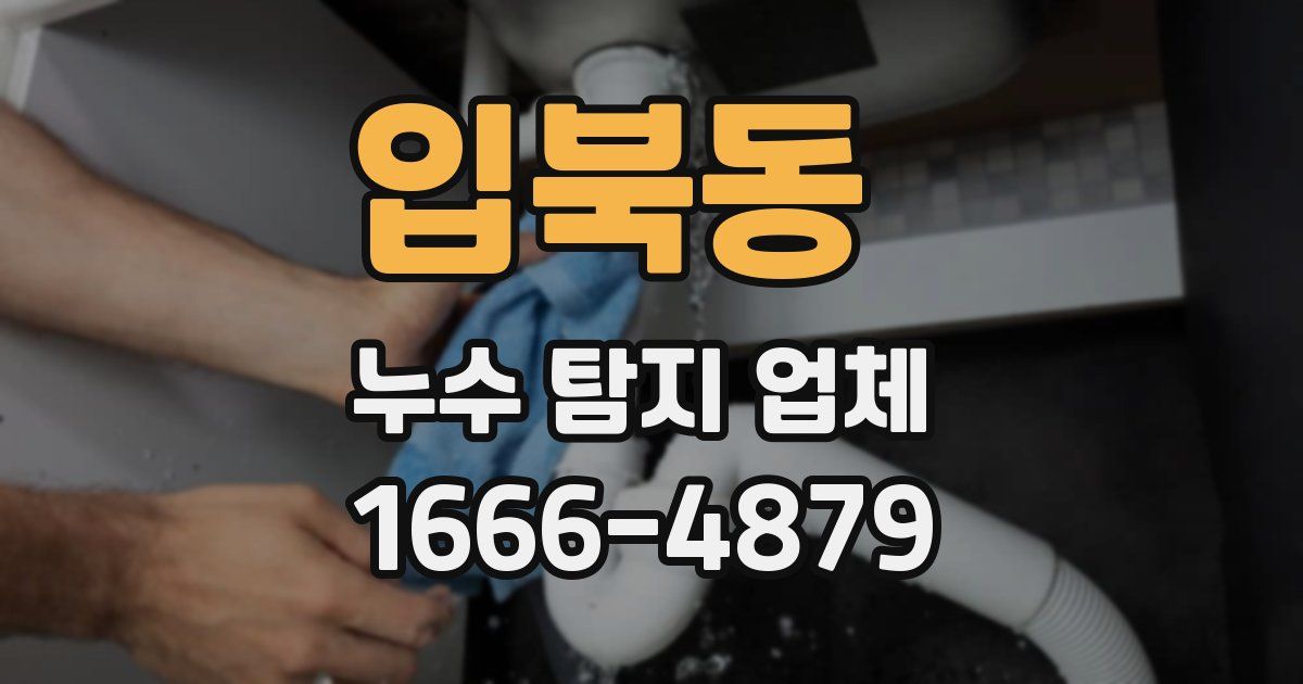 입북동 누수 탐지 업체