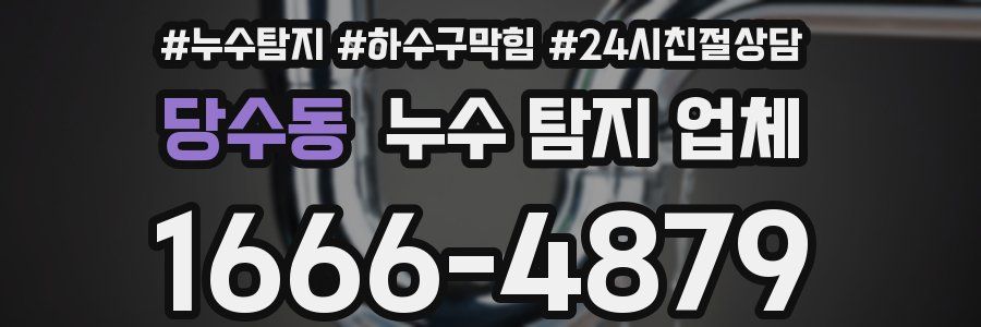 당수동 누수 탐지 업체