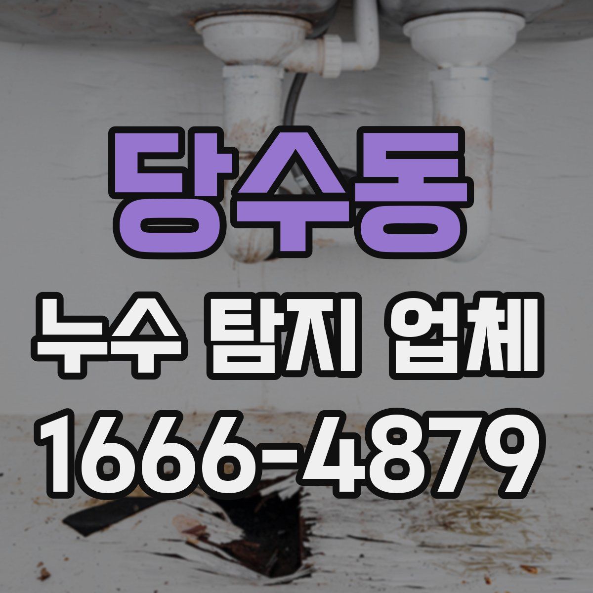 당수동 누수 탐지 업체