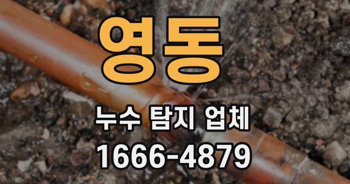 영동 누수 탐지 업체