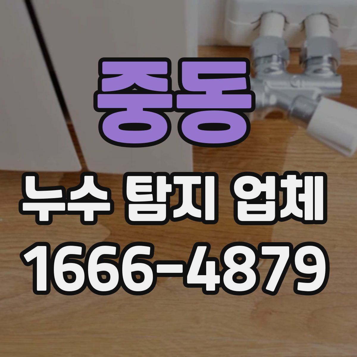중동 누수 탐지 업체