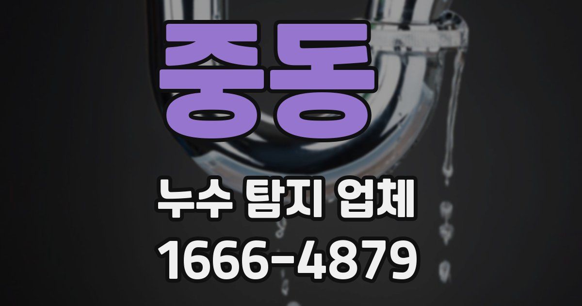중동 누수 탐지 업체