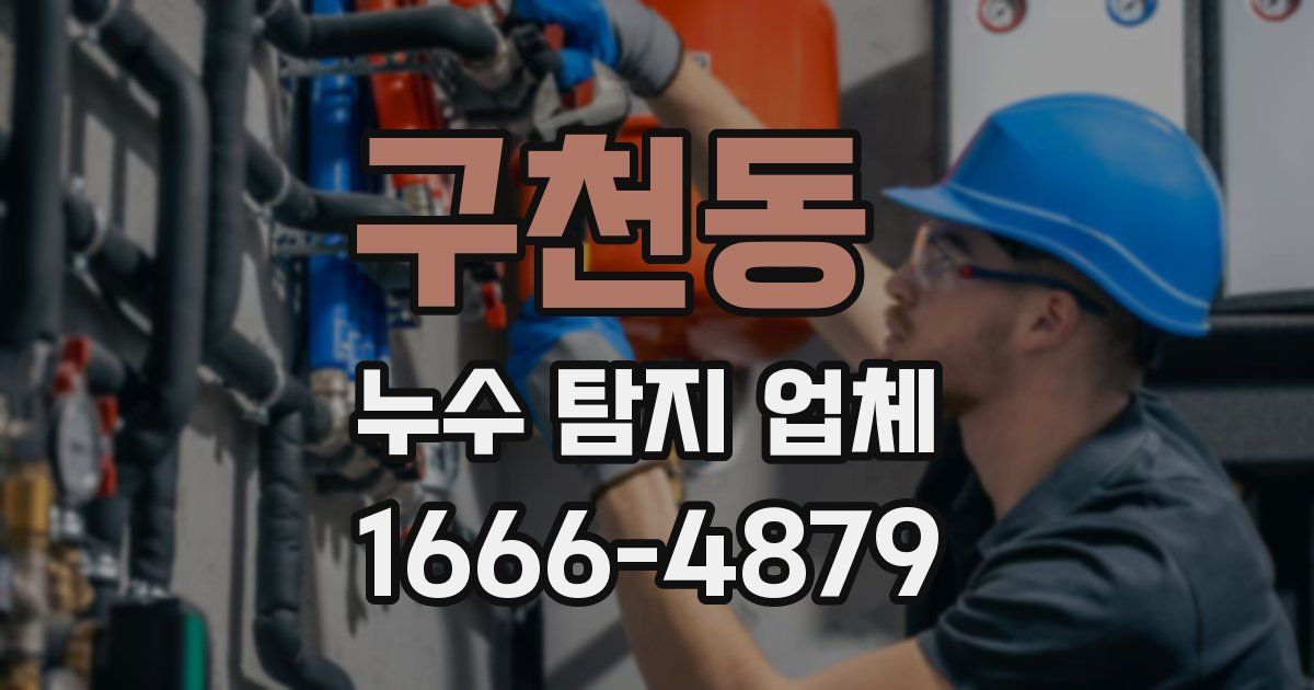 구천동 누수 탐지 업체