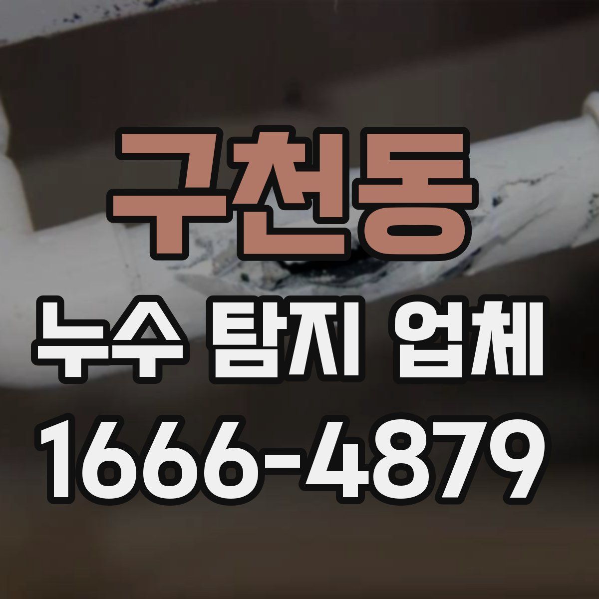 구천동 누수 탐지 업체