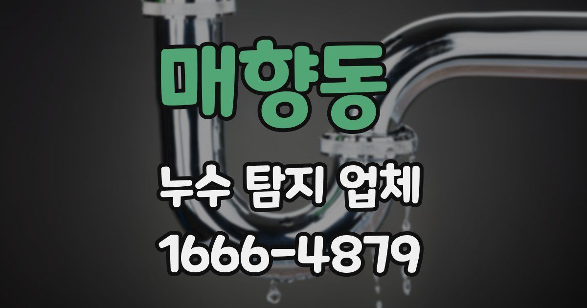 매향동 누수 탐지 업체
