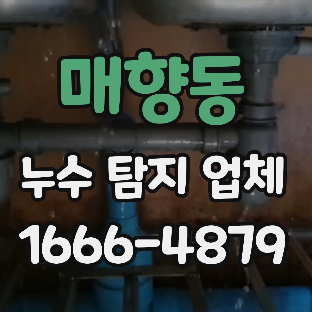 매향동 누수 탐지 업체