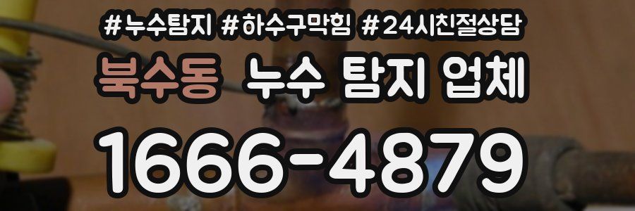 북수동 누수 탐지 업체