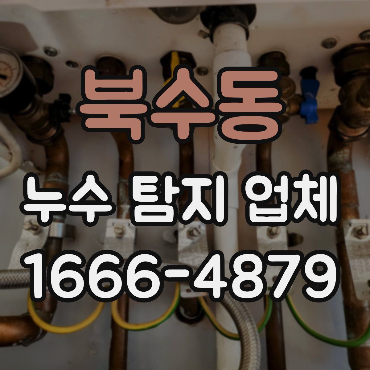 북수동 누수 탐지 업체