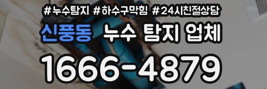 신풍동 누수 탐지 업체