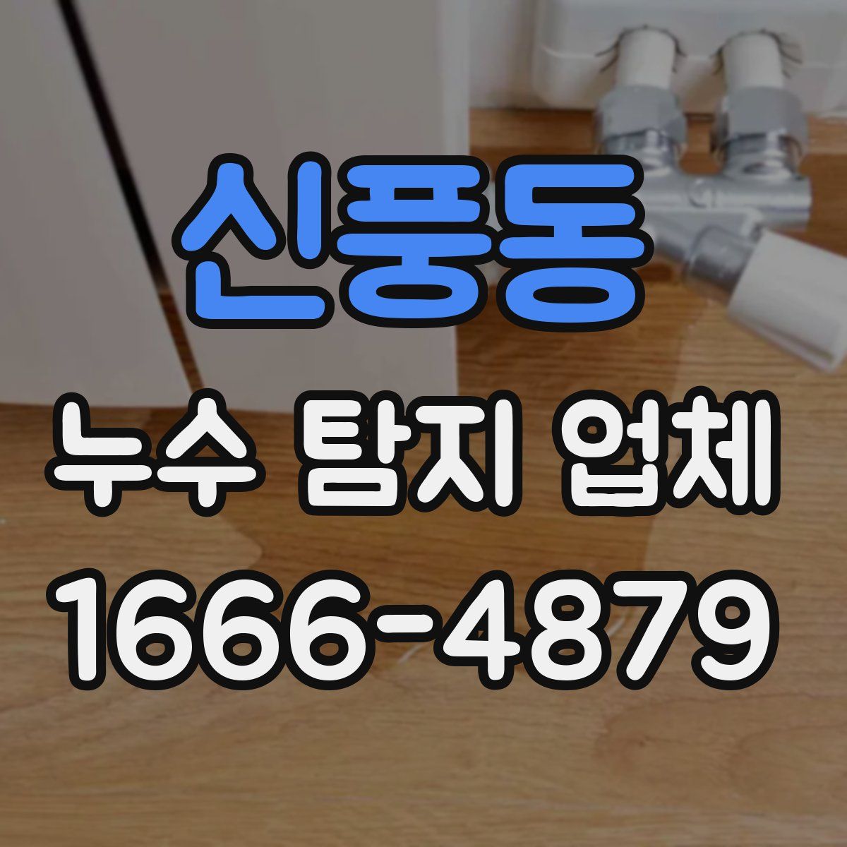 신풍동 누수 탐지 업체