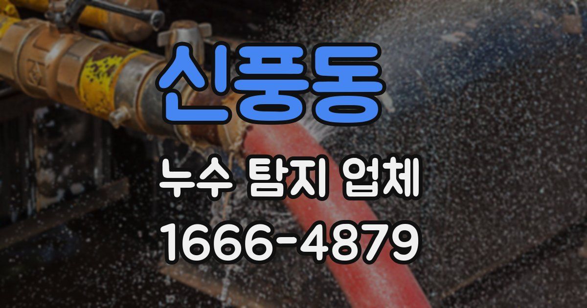신풍동 누수 탐지 업체