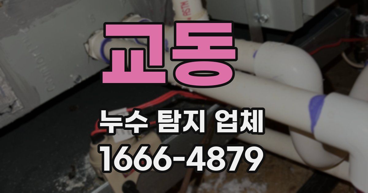 교동 누수 탐지 업체