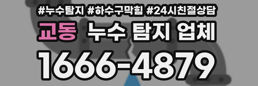 교동 누수 탐지 업체
