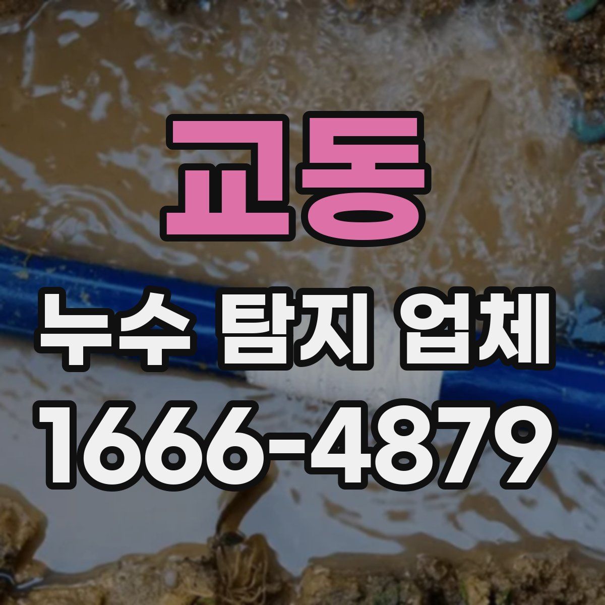 교동 누수 탐지 업체