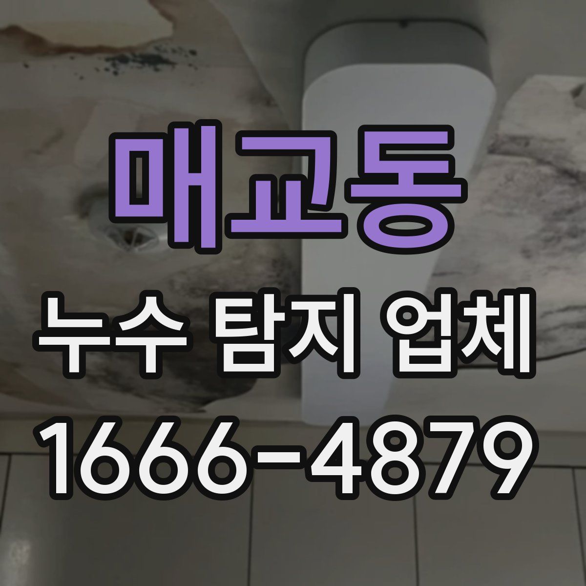 매교동 누수 탐지 업체