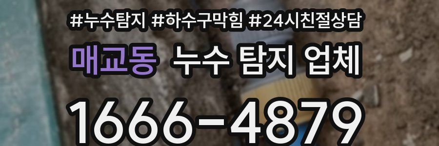 매교동 누수 탐지 업체