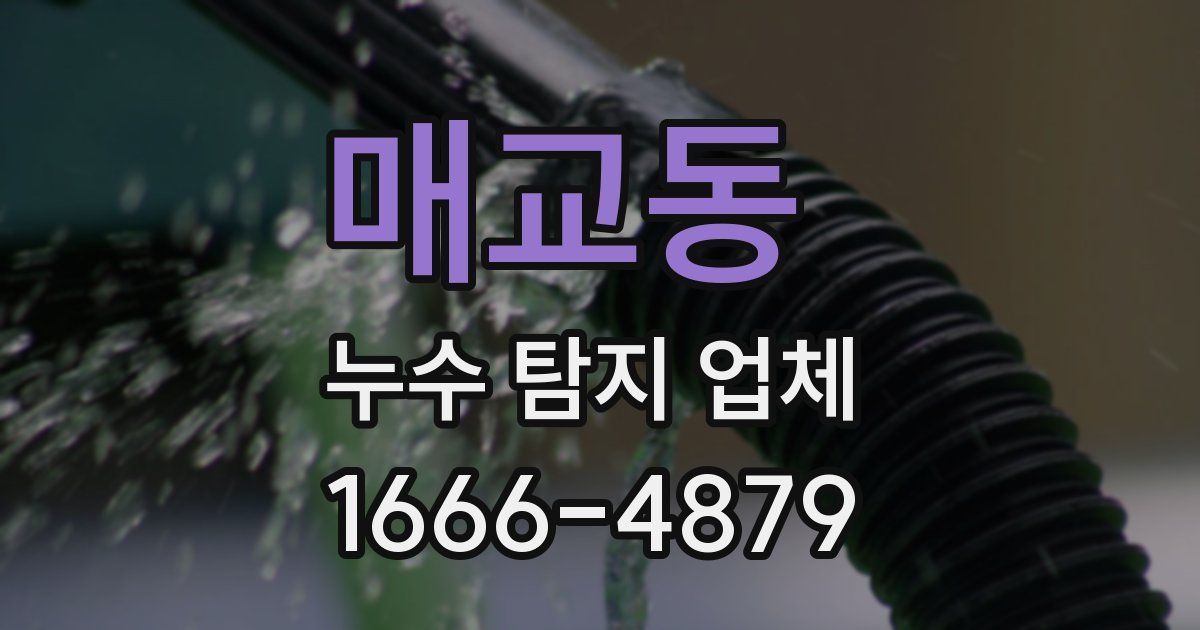 매교동 누수 탐지 업체