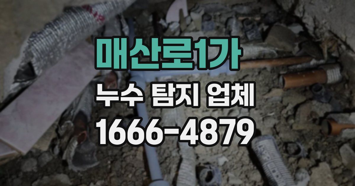 매산로1가 누수 탐지 업체