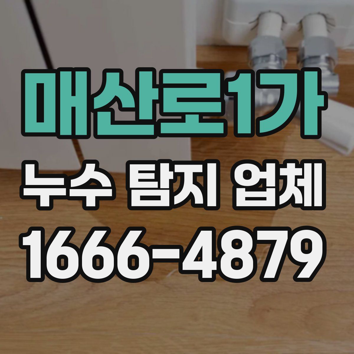 매산로1가 누수 탐지 업체