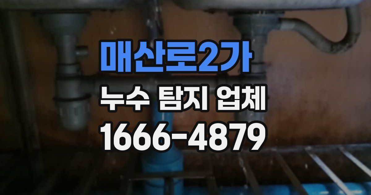 매산로2가 누수 탐지 업체