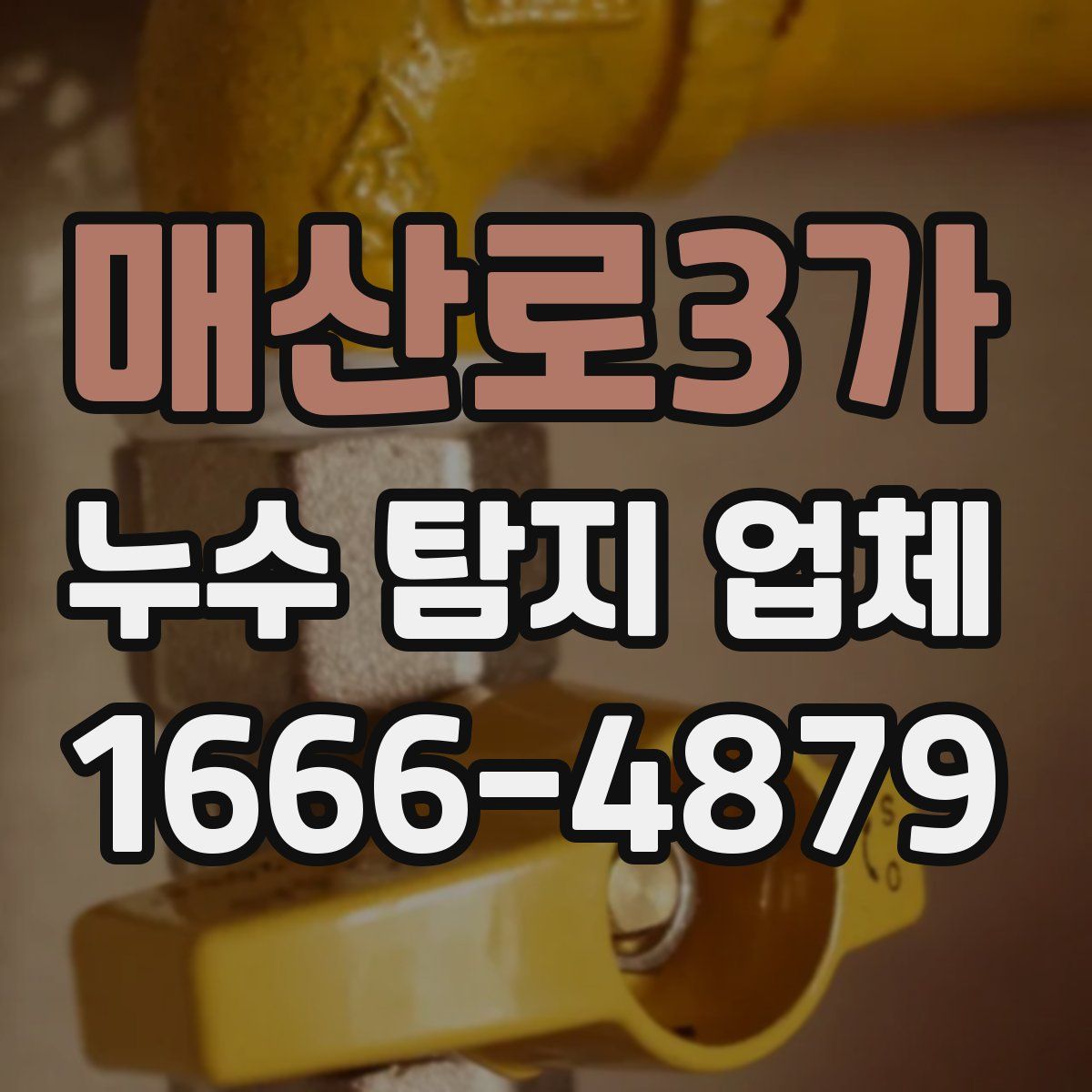 매산로3가 누수 탐지 업체