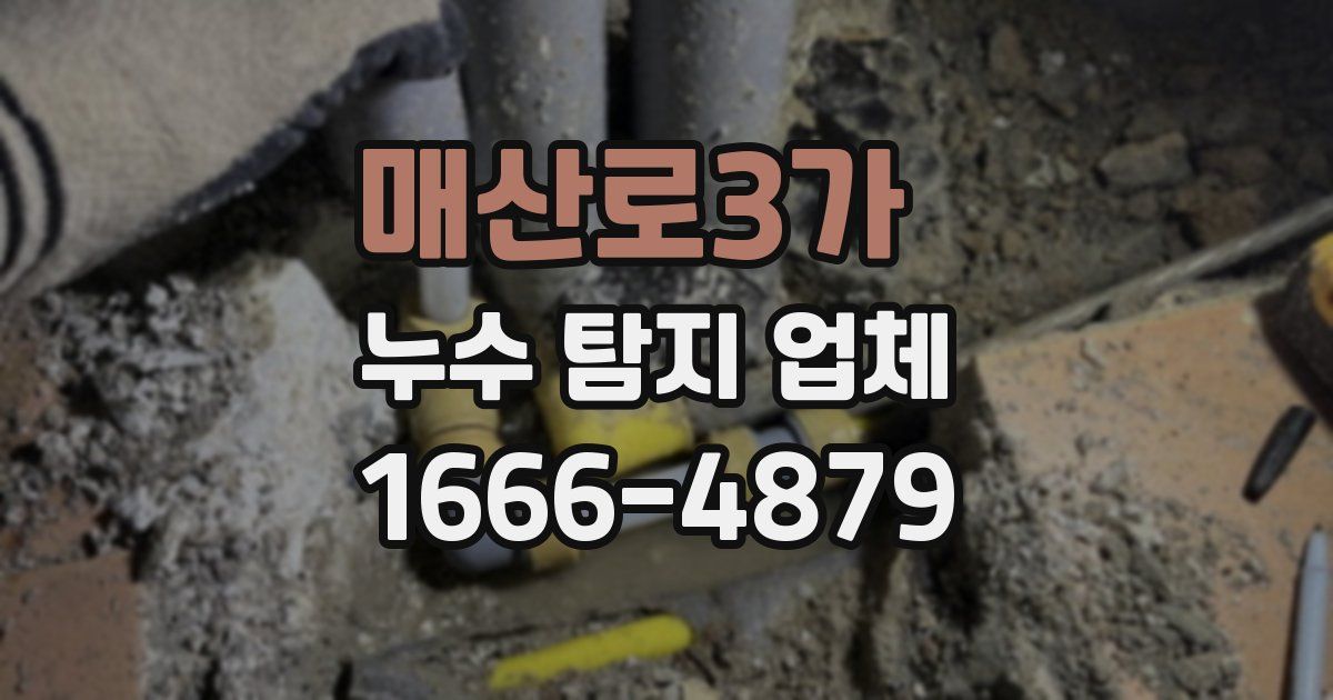 매산로3가 누수 탐지 업체