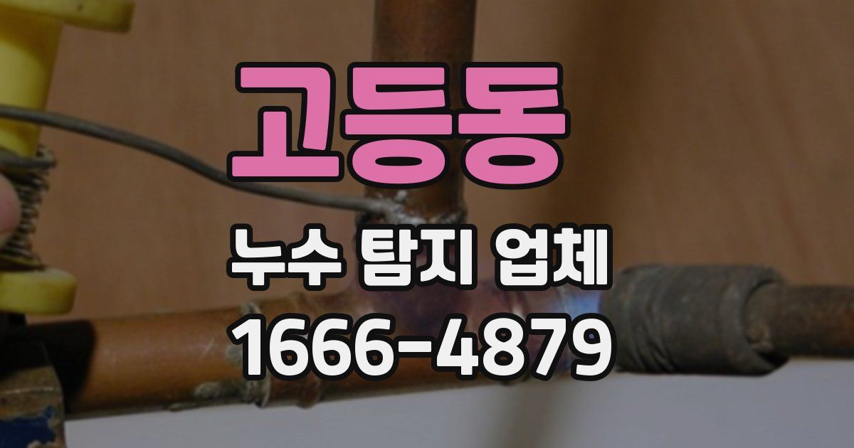 고등동 누수 탐지 업체