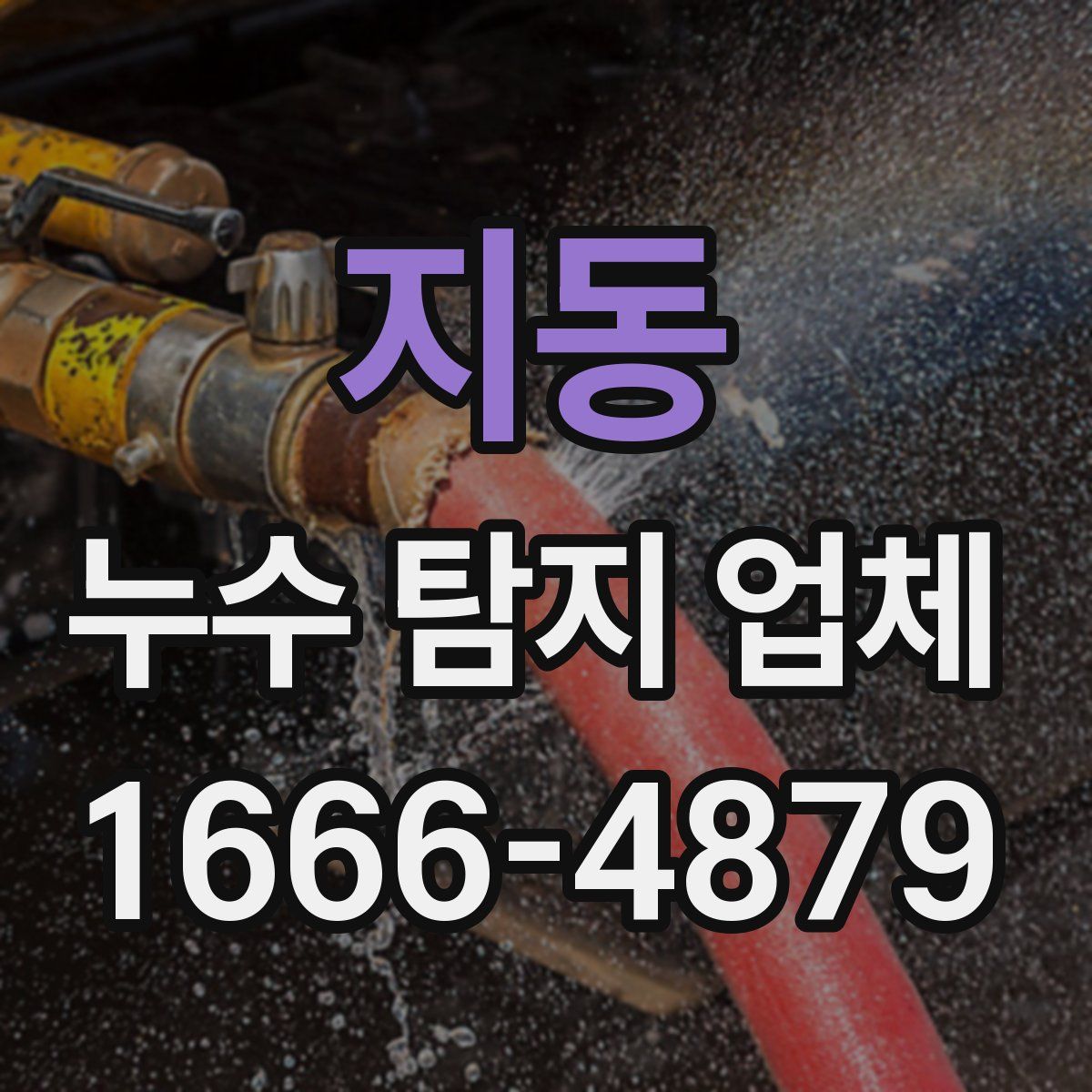 지동 누수 탐지 업체