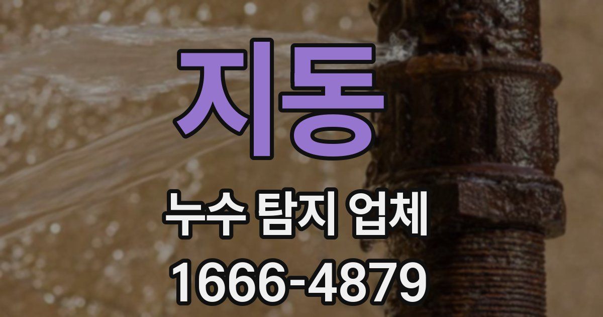 지동 누수 탐지 업체