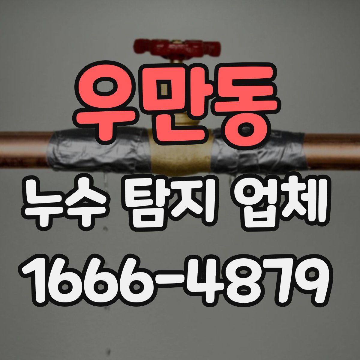 우만동 누수 탐지 업체