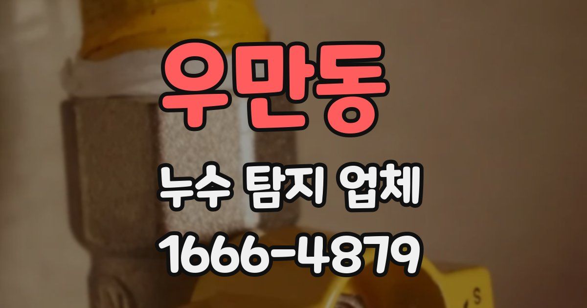 우만동 누수 탐지 업체