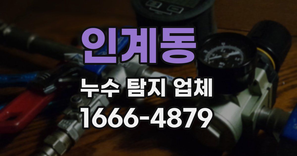 인계동 누수 탐지 업체