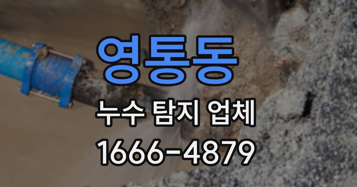 영통동 누수 탐지 업체