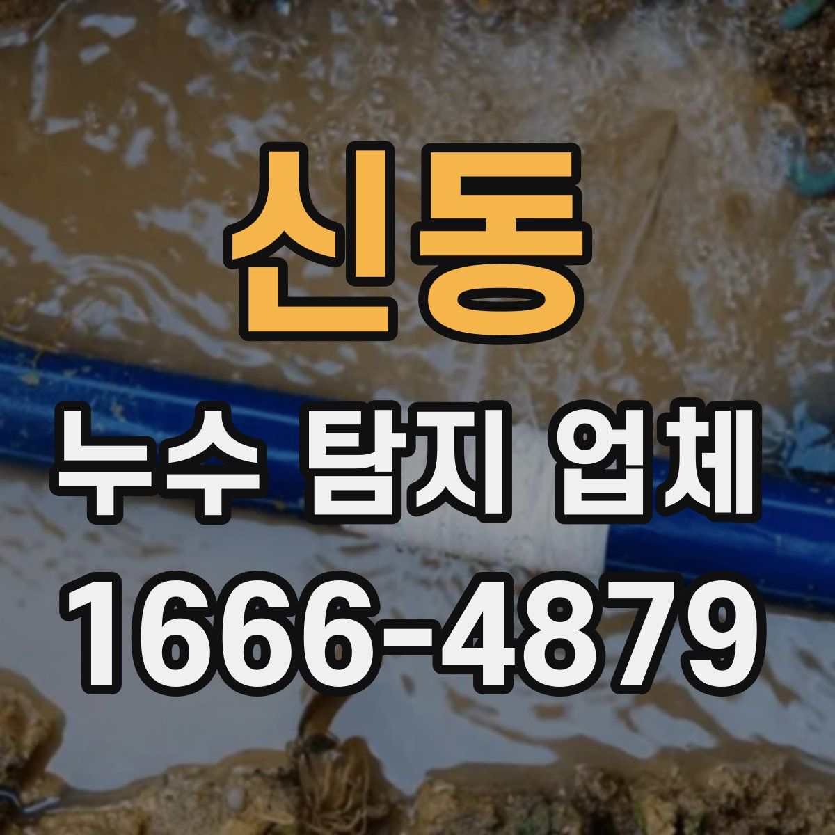 신동 누수 탐지 업체