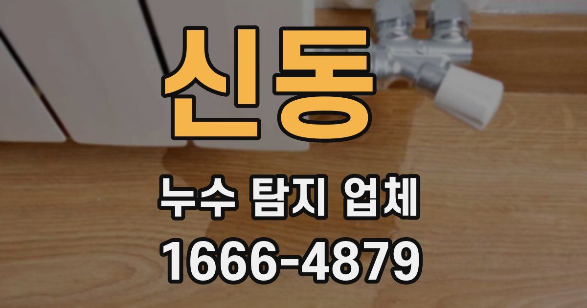 신동 누수 탐지 업체