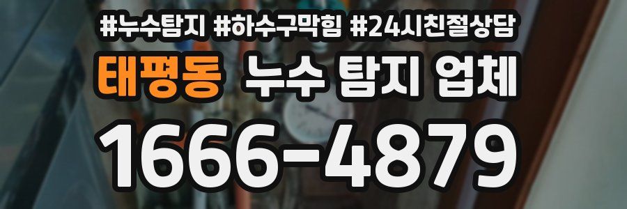태평동 누수 탐지 업체