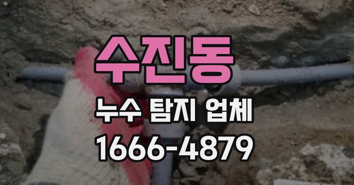 수진동 누수 탐지 업체