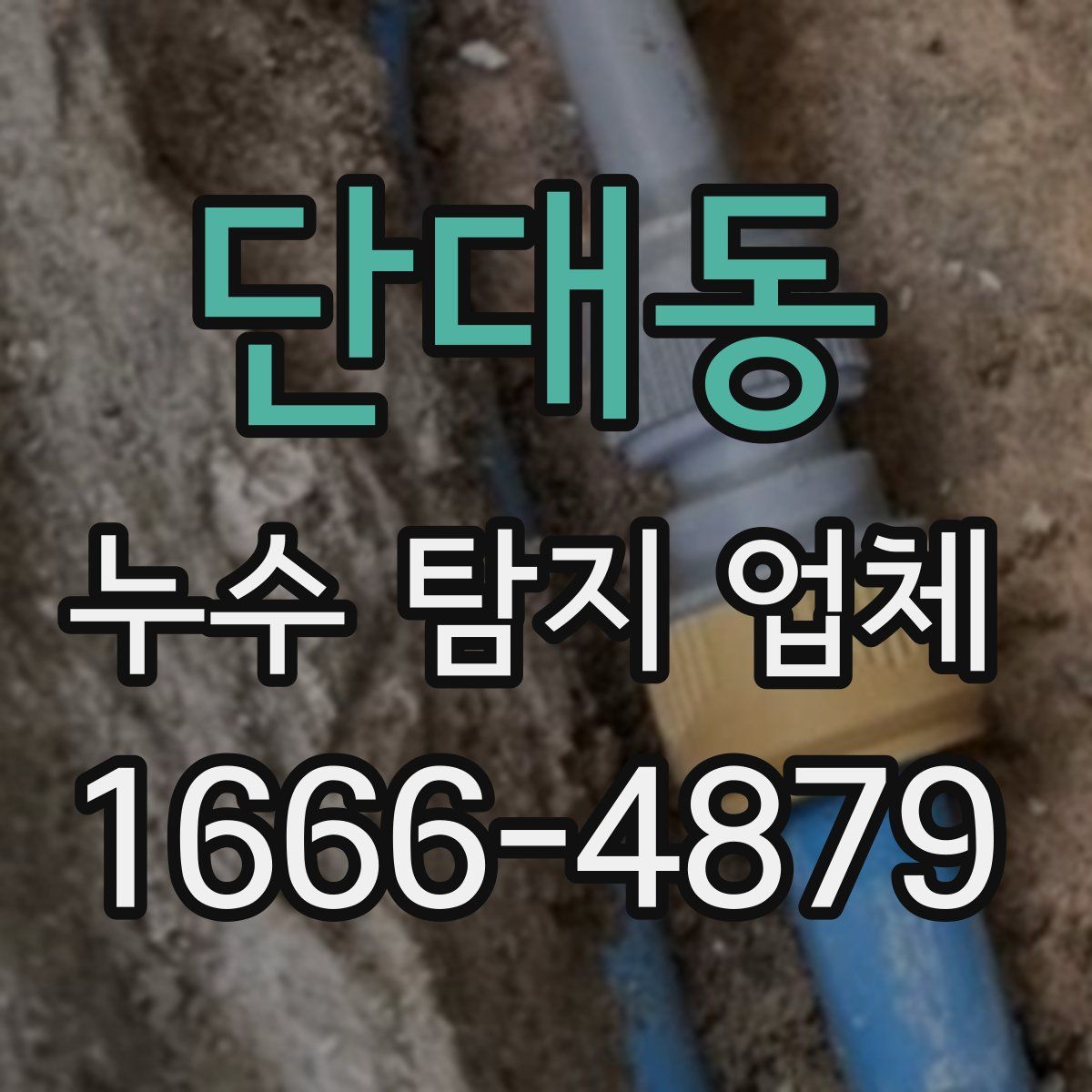 단대동 누수 탐지 업체