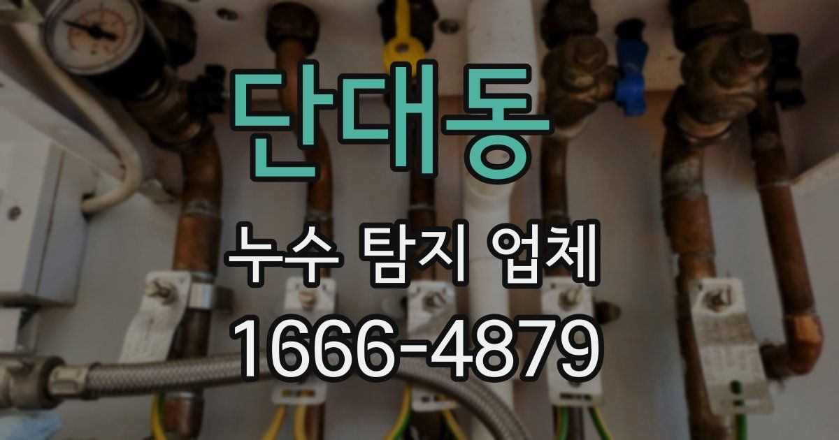 단대동 누수 탐지 업체